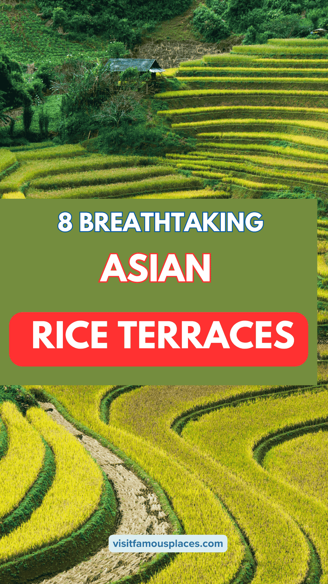 8 Breathtaking Asian Rice Terraces